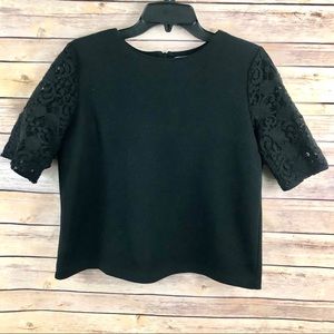 Ann Taylor LOFT Lace Sleeve Rear Zip Top Sz M